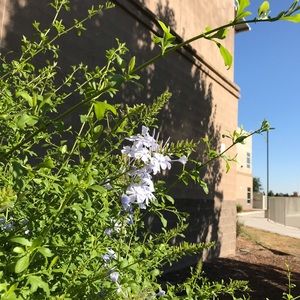 Meet your Posher, Aylin